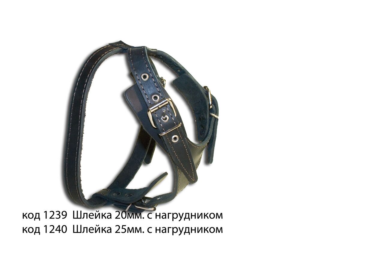 Как одеть шлейку на котенка пошаговое фото Как одеть шлейку на котенка пошаговое фото